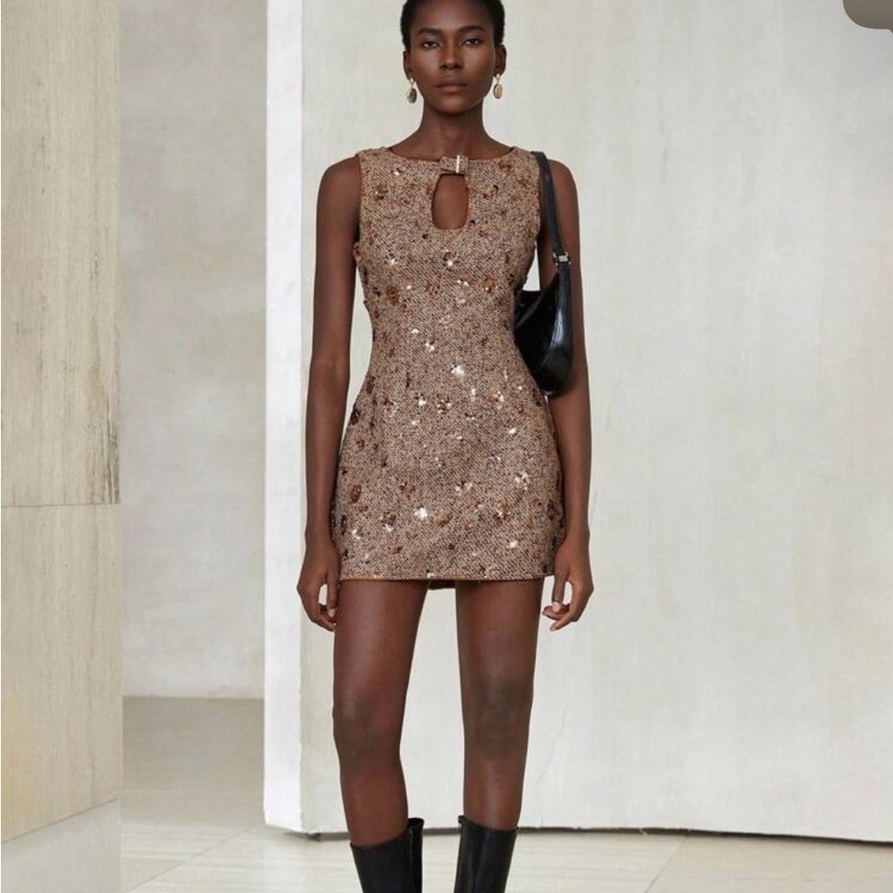 Elegant Brown Sequin Dress